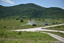 Picture 4